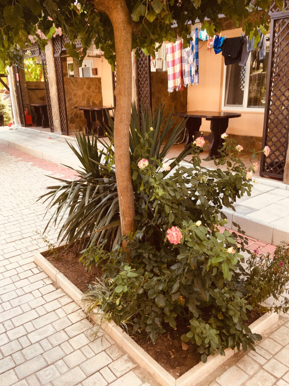 Гостиница Арсенал Евпатория-79