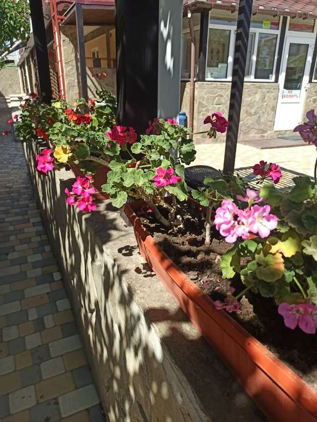 Гостиница Арсенал Евпатория-77