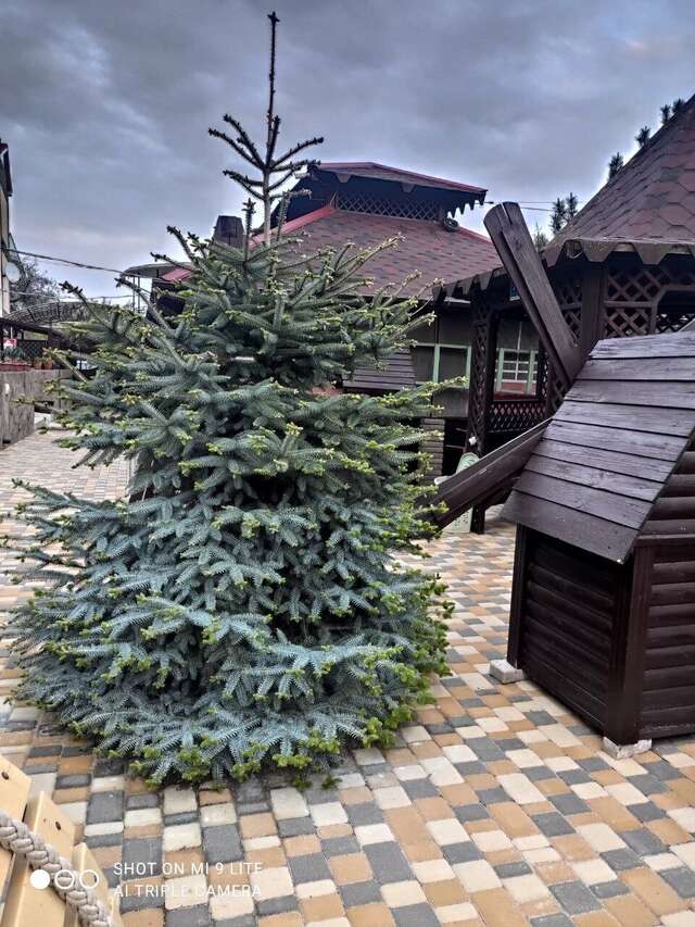 Гостиница Арсенал Евпатория-59