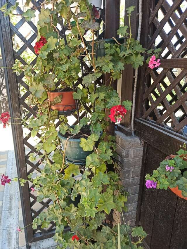 Гостиница Арсенал Евпатория-76